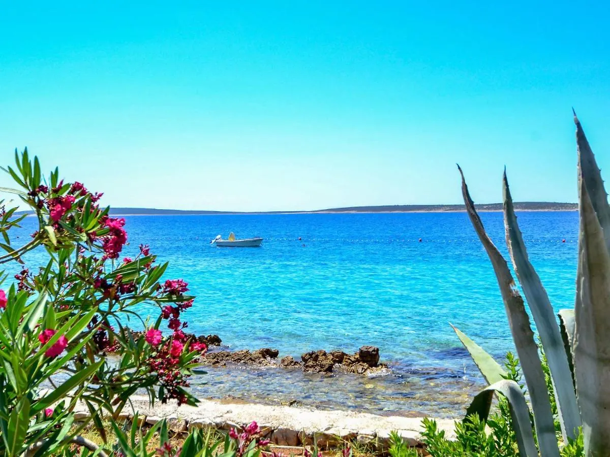 Apartment Barbara-1 0*, Mandre Croatia